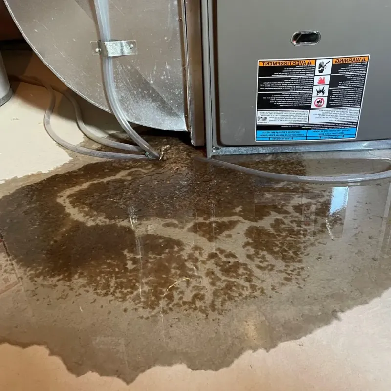 Pipe Burst and Leak Restoration in Hyde Park, PA