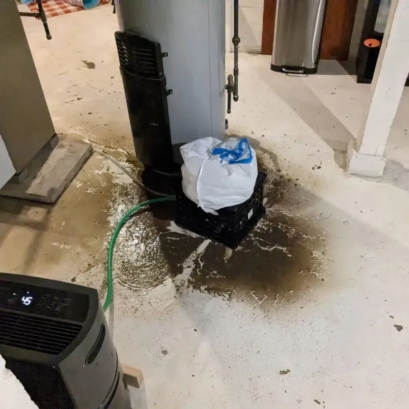 Sewage Backup Cleanup Service in Hyde Park, PA